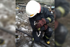 В Павлограде загорелось общежитие: пострадали трое человек (видео) фото